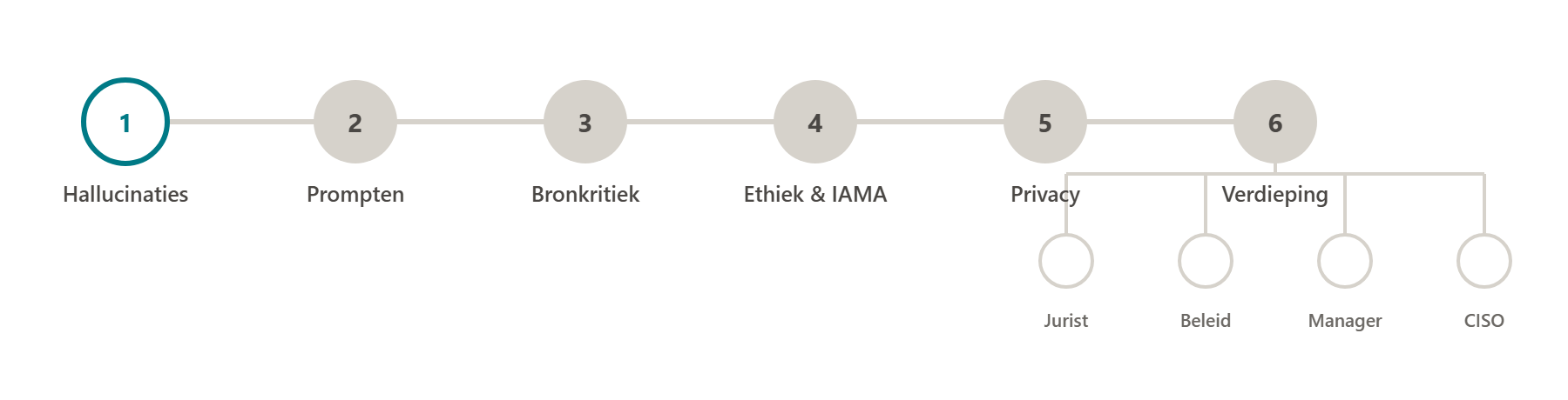 Routekaart van de zes modules, met module 6 vertakt naar vier rolspecifieke tracks. Start bij module 1.